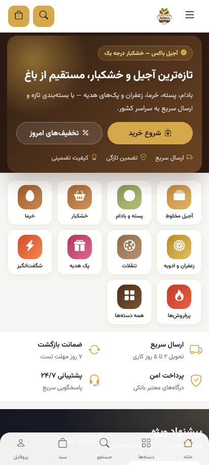 نمایش موبایل طراحی سایت اختصاصی آجیل و خشکبار | نمونه‌کار آجیل‌باکس